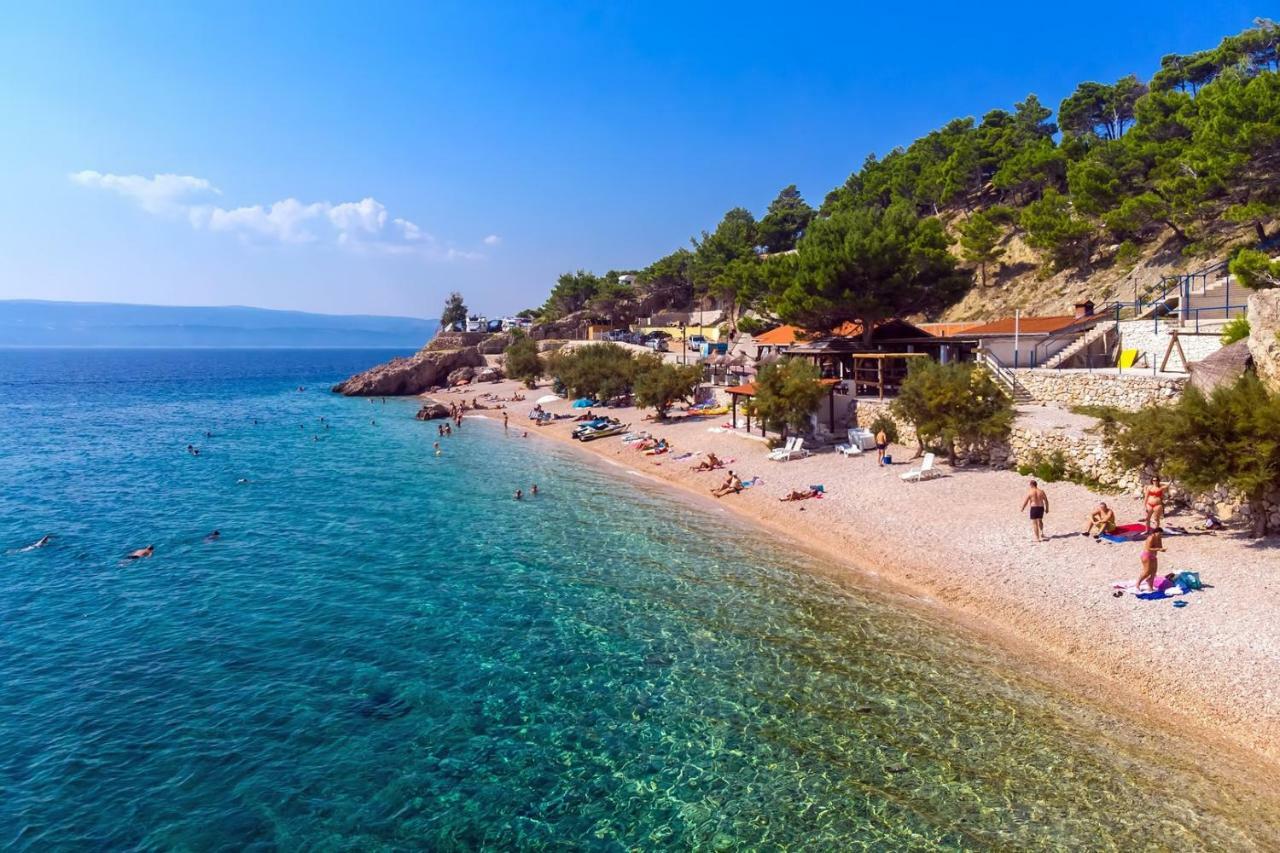 Villa Maslina, With Private 32M2Pool, Panoramic Views On 100Km Coastline, 12 Pax Lokva Rogoznica Exteriör bild